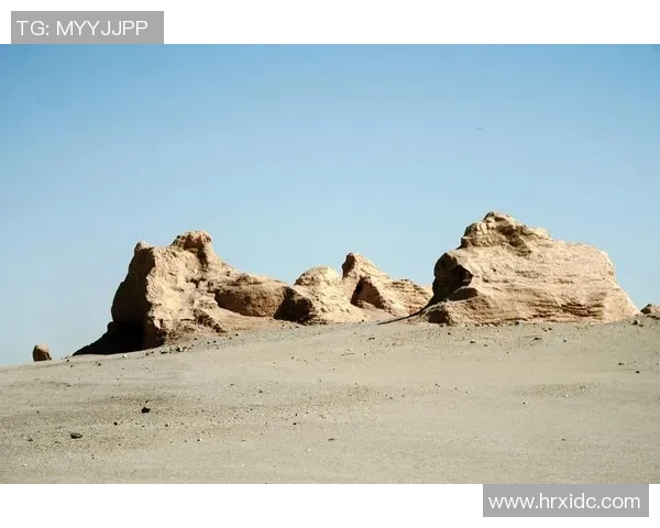 拉波尔特:探索未来科技与人类生活的交汇点与创新之路