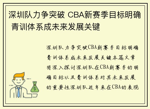 深圳队力争突破 CBA新赛季目标明确 青训体系成未来发展关键